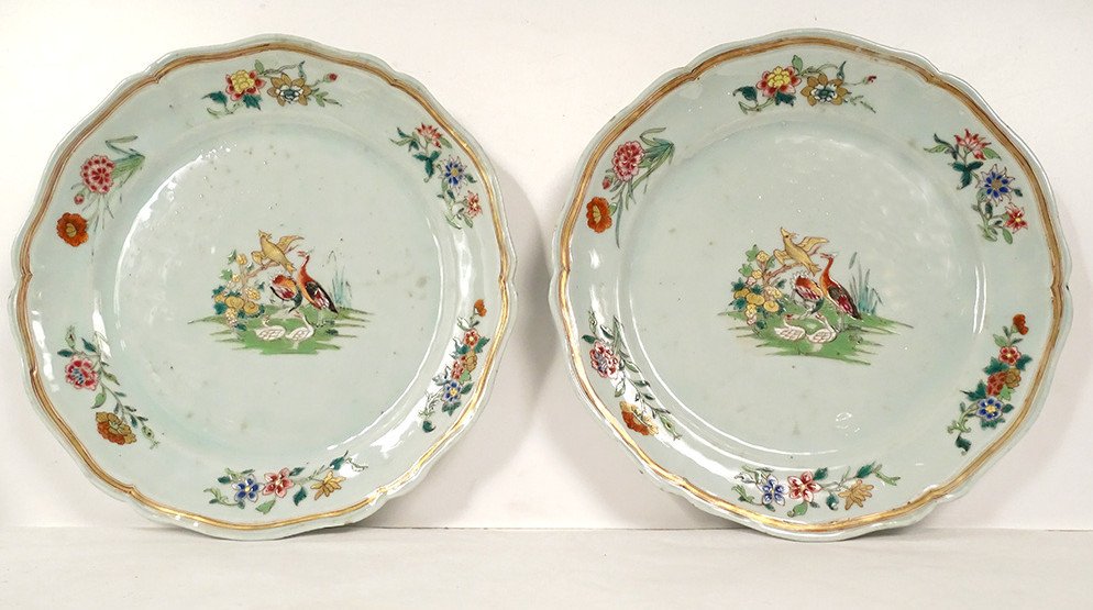 Paire Plats Porcelaine Compagnie Des Indes Oiseaux Faisans Fleurs XVIIIème