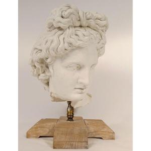 Plaster Sculpture Head God Statue Apollo Belvedere Rome Italy 19th Century