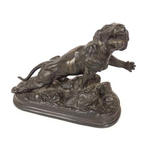 Bronze Sculpture Wounded Tiger Lioness J.hesteau Bronze Animal 19th Century