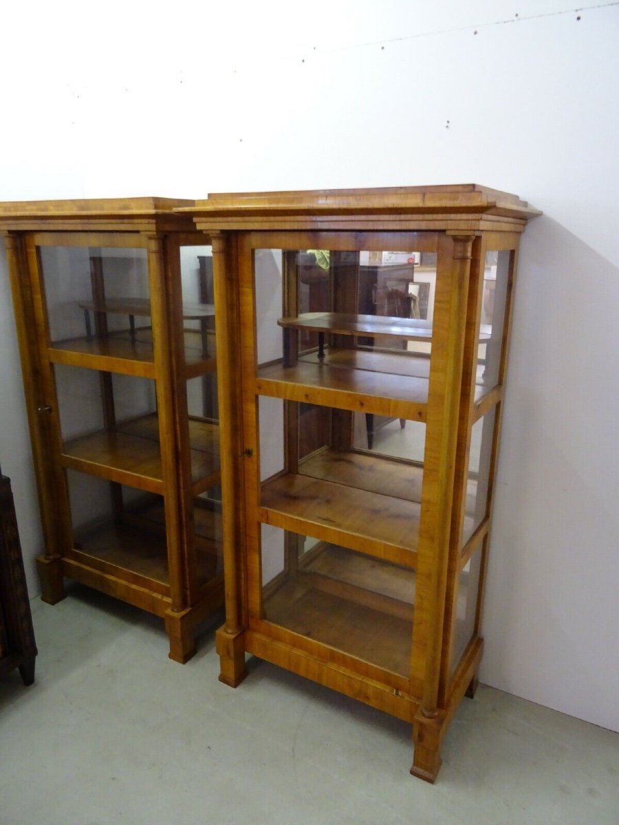 A Pair Of Biedermeier Display Cabinets, Vienna Circa 1830