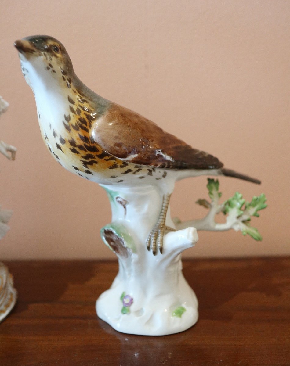 Oiseau Chanteur En Porcelaine De Meissen -photo-2
