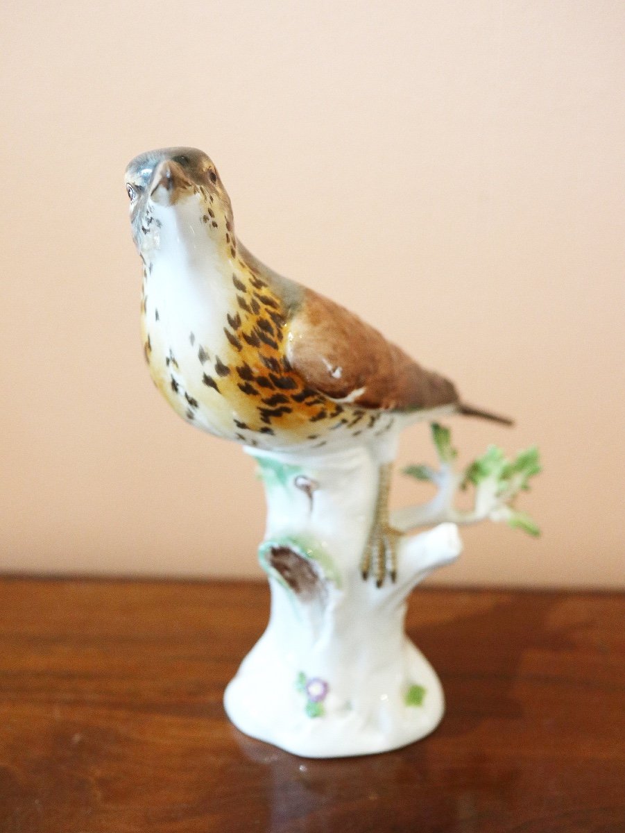 Oiseau Chanteur En Porcelaine De Meissen -photo-5