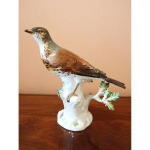 Meissen Porcelain Songbird 