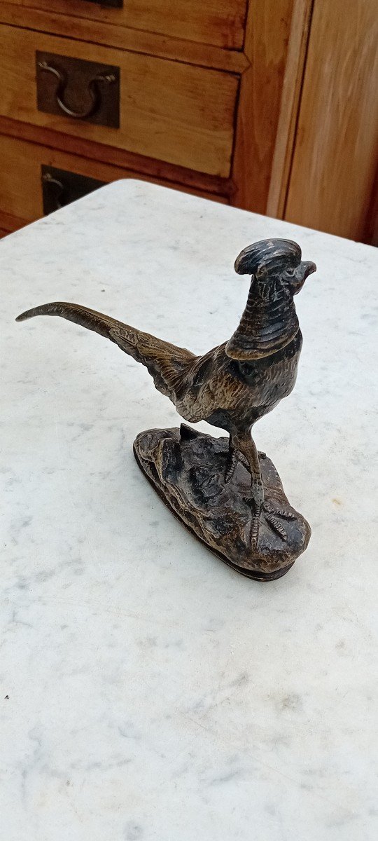 Small Animal Bronze "pheasant"-photo-5