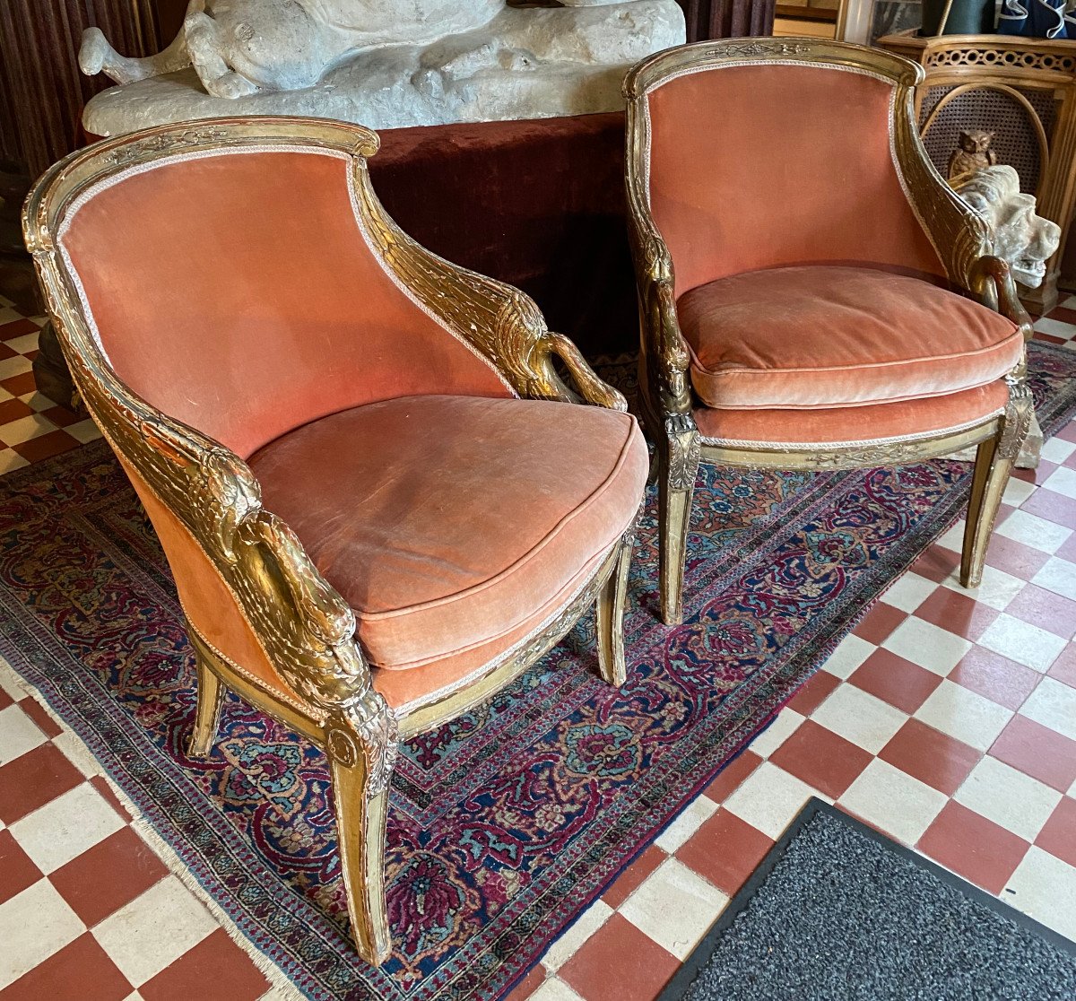 Paire De Fauteuils De Boudoir à Col De Cygne, XIXeme Siècle-photo-2