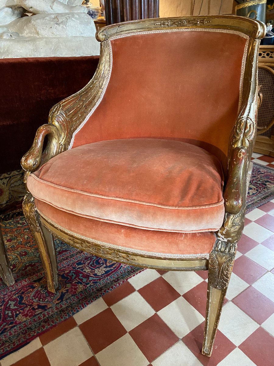 Pair Of Swan Neck Boudoir Armchairs, 19th Century-photo-3