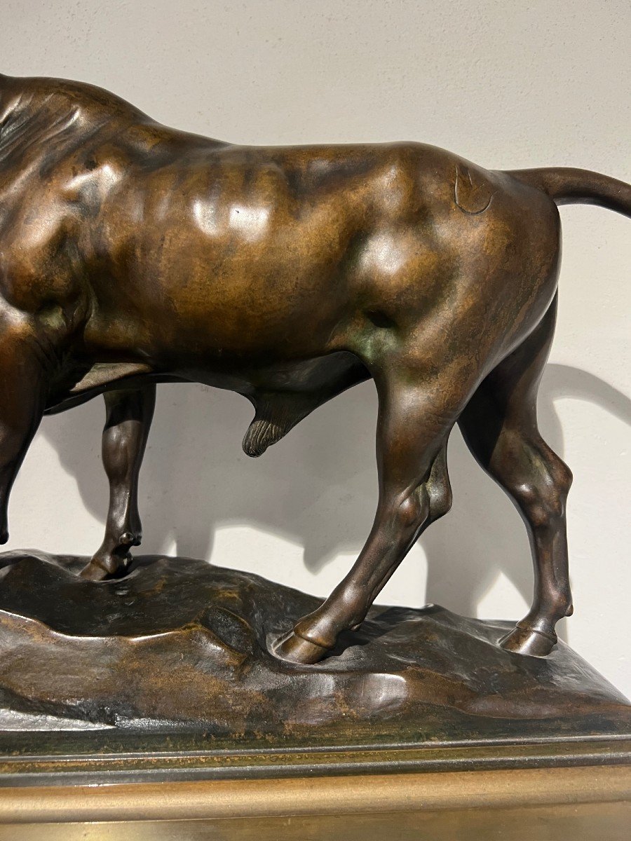 Superb Bull In Bronze Beautiful Patina-photo-2