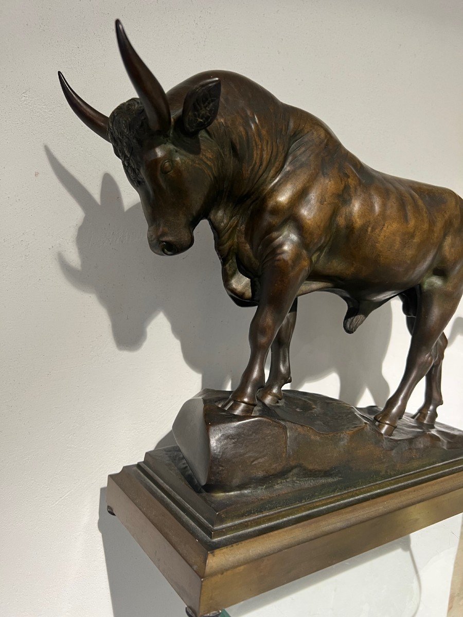 Superb Bull In Bronze Beautiful Patina-photo-8