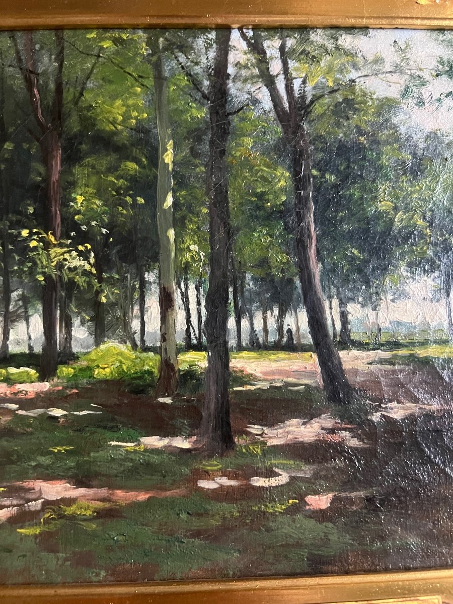 Oil On Canvas By Charlay-pompon Charles Landscape Forest -photo-4