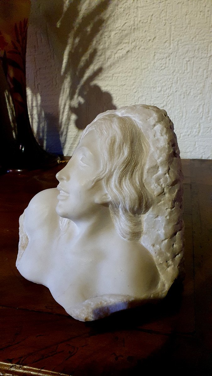 Bust Of Young Woman