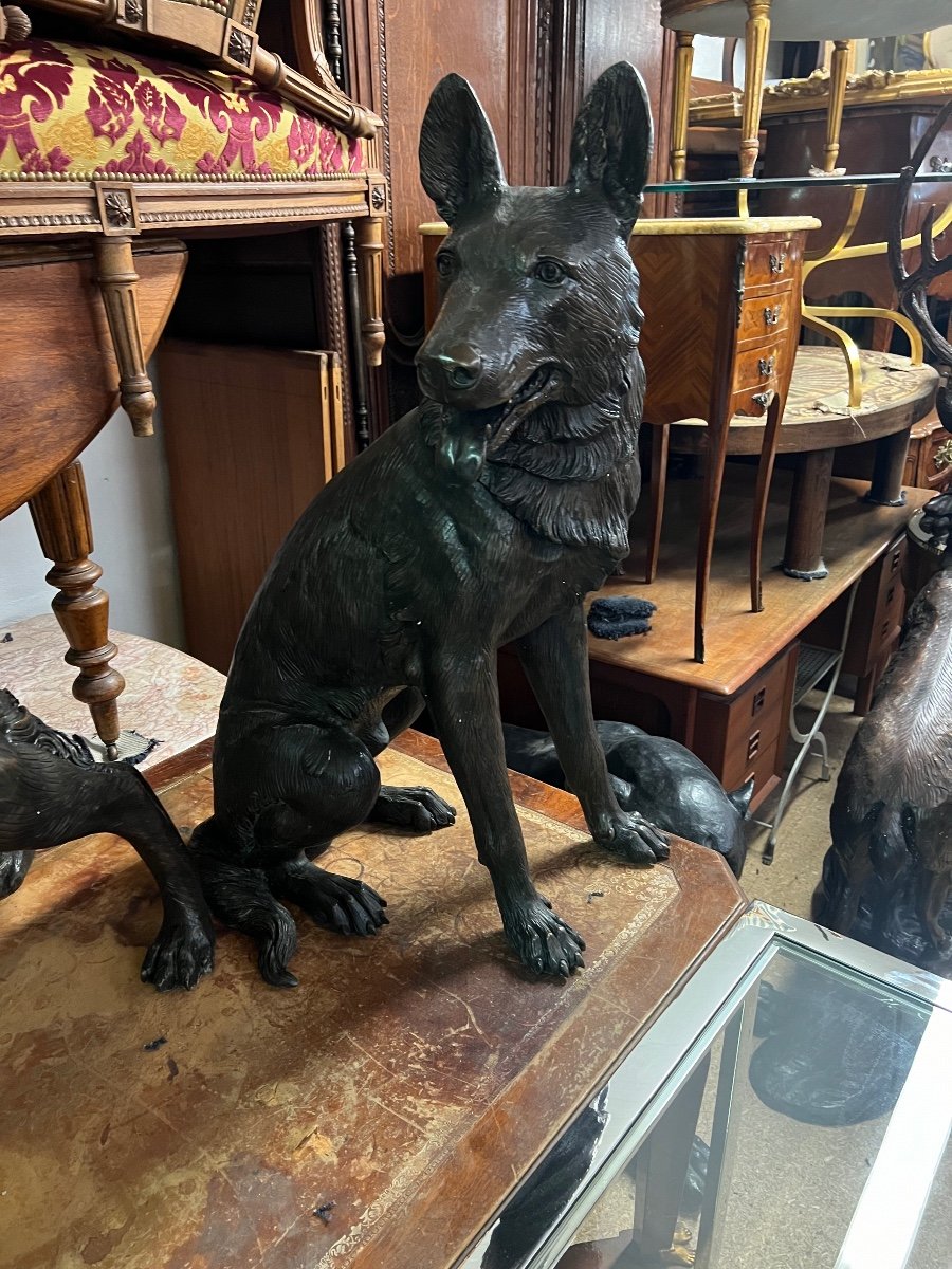 Large Pair Of Bronze Dogs -photo-3