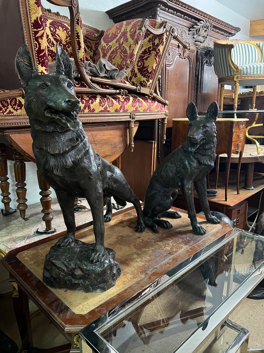 Large Pair Of Bronze Dogs 