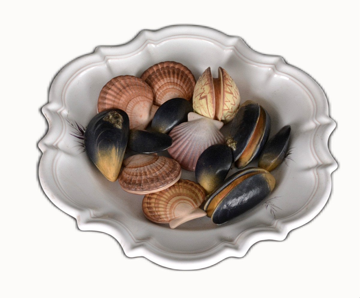 Trompe-l'oeil Shell Dish-photo-2