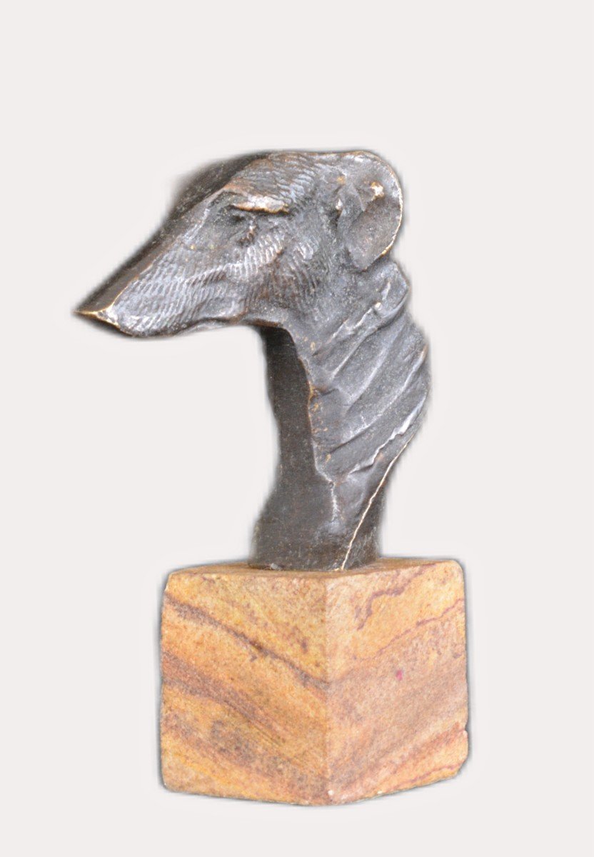 Bronze Greyhound Head-photo-2