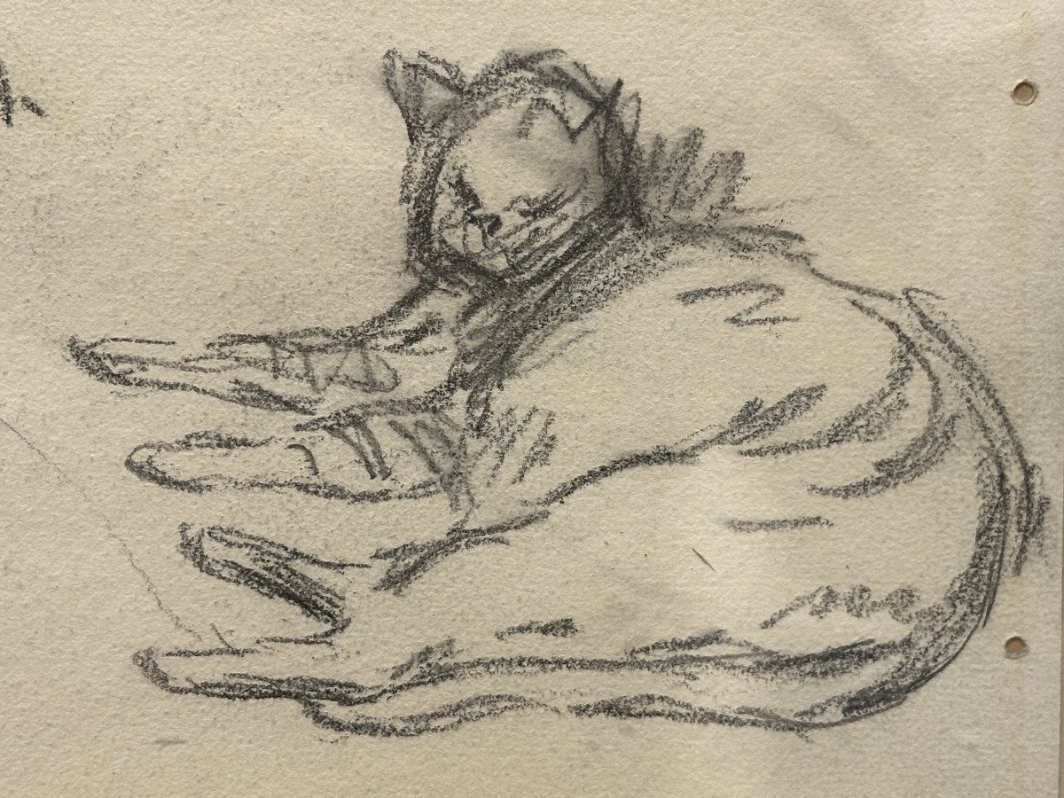 Théophile Alexandre Steinlen (1859-1923) "cats" Pencil On Paper Signed With Workshop Stamp-photo-3