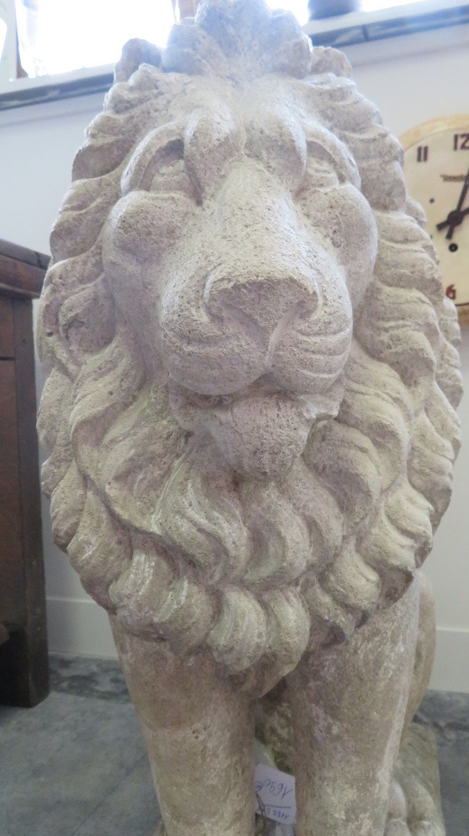 Lion En Pierre-photo-4