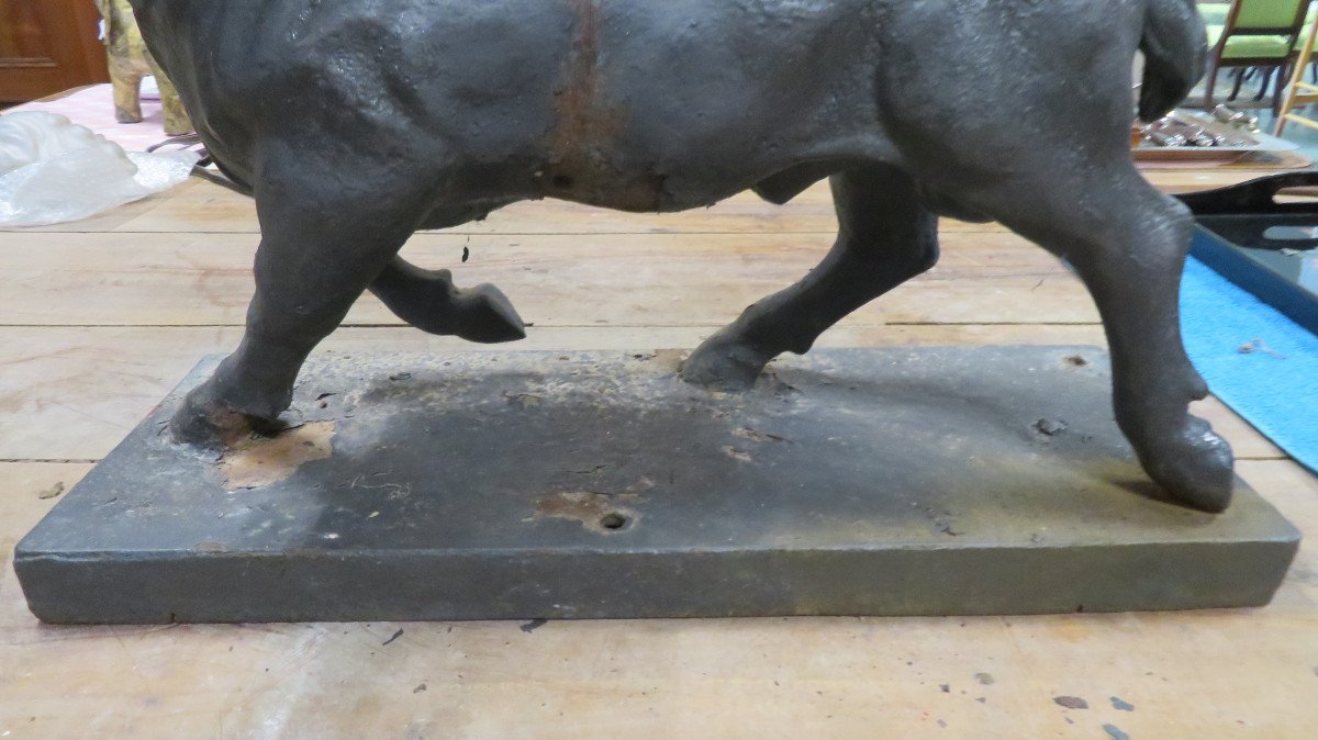 Cast Iron Bull-photo-4