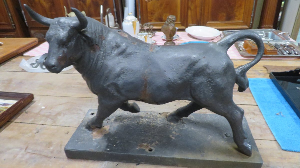 Cast Iron Bull