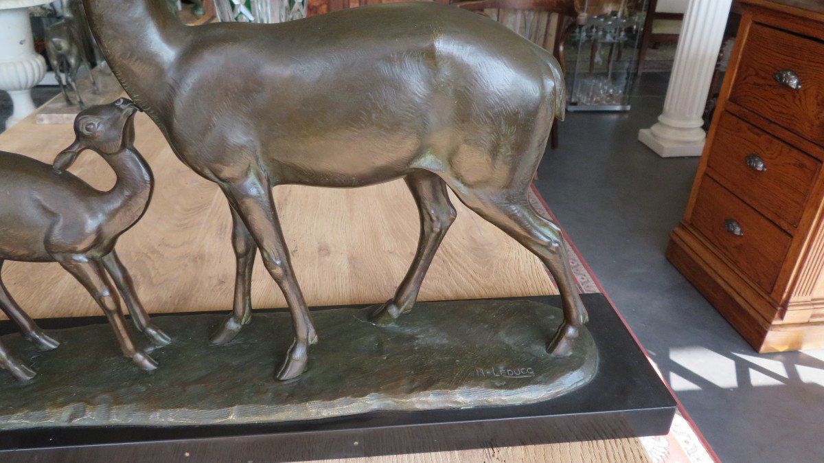 Animal Bronze-photo-3