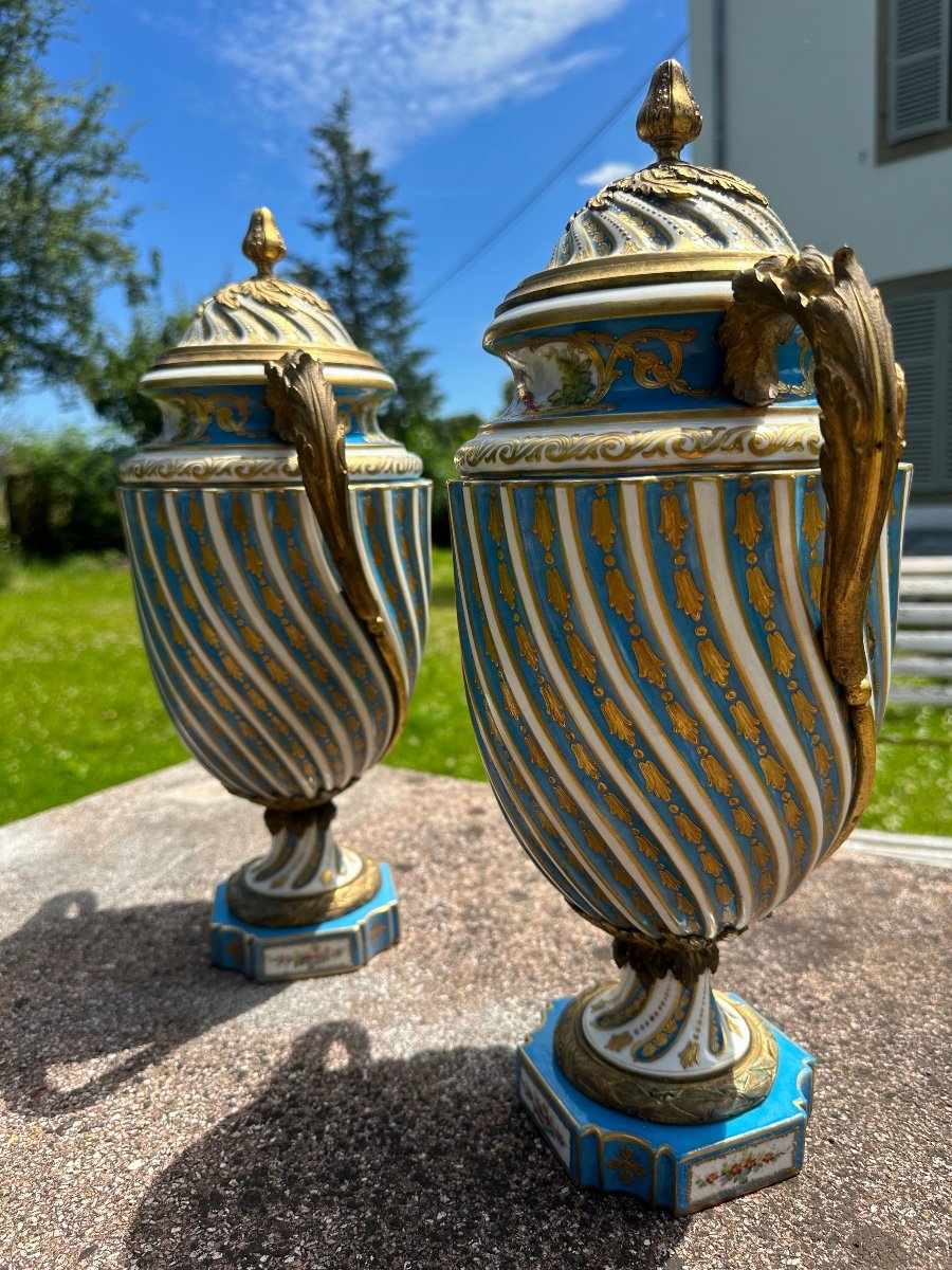 Vases De Sèvres -photo-4