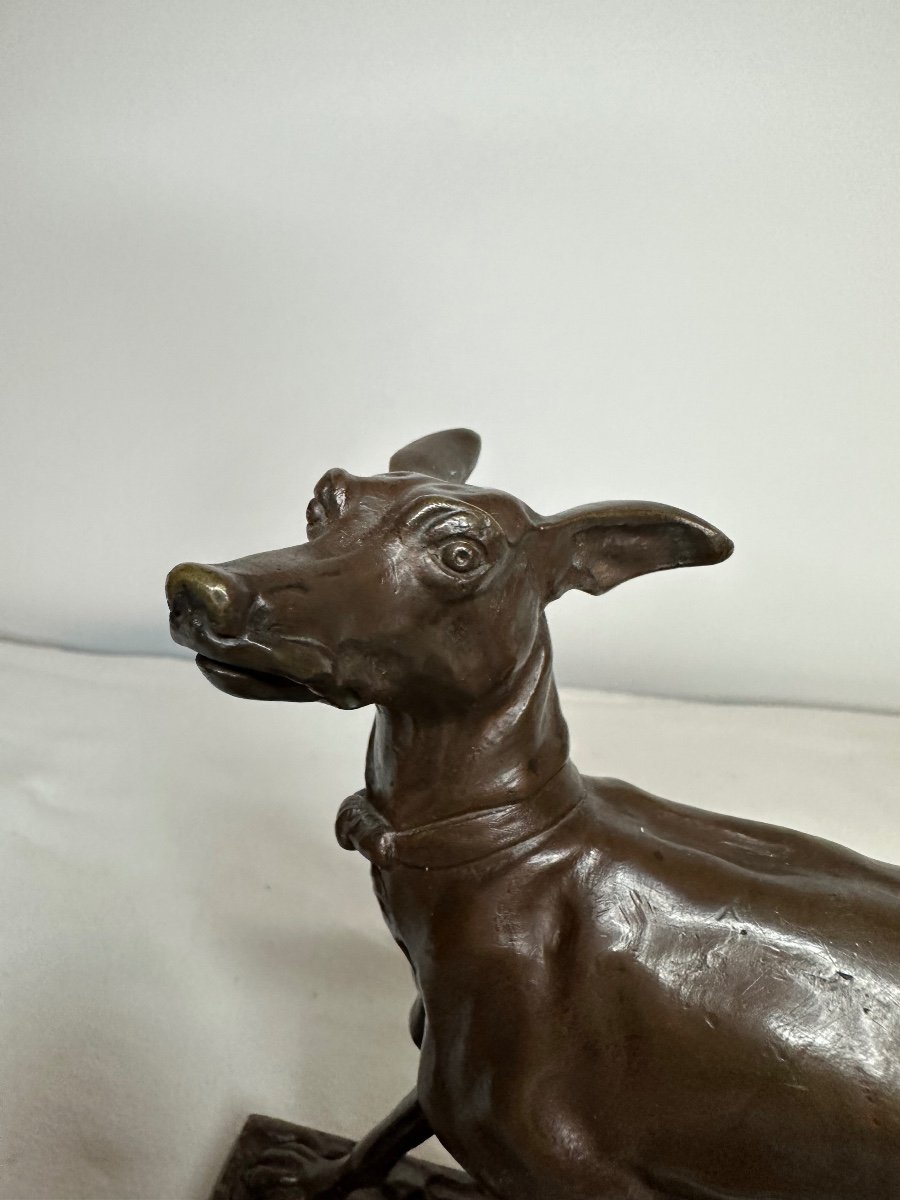 Bronze Greyhound-photo-2