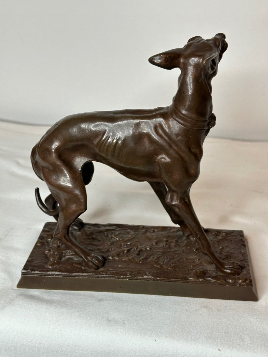 Bronze Greyhound-photo-4