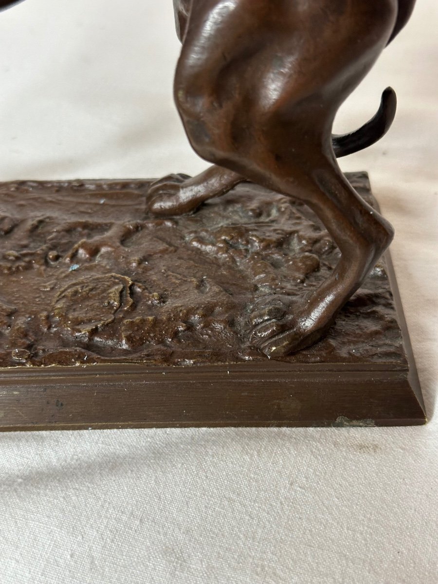 Bronze Greyhound-photo-1