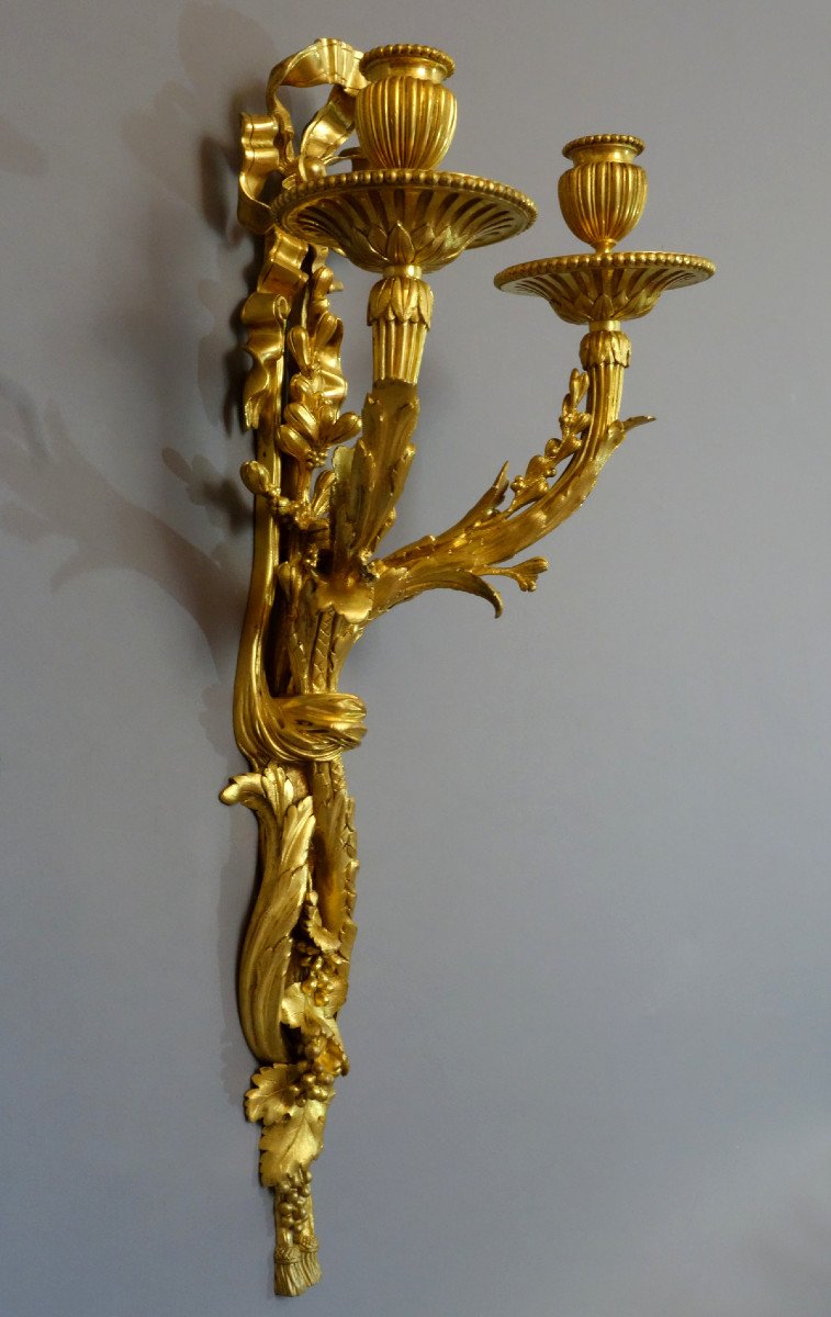 - Pair Of Louis XVI XIXth Sconces-photo-2