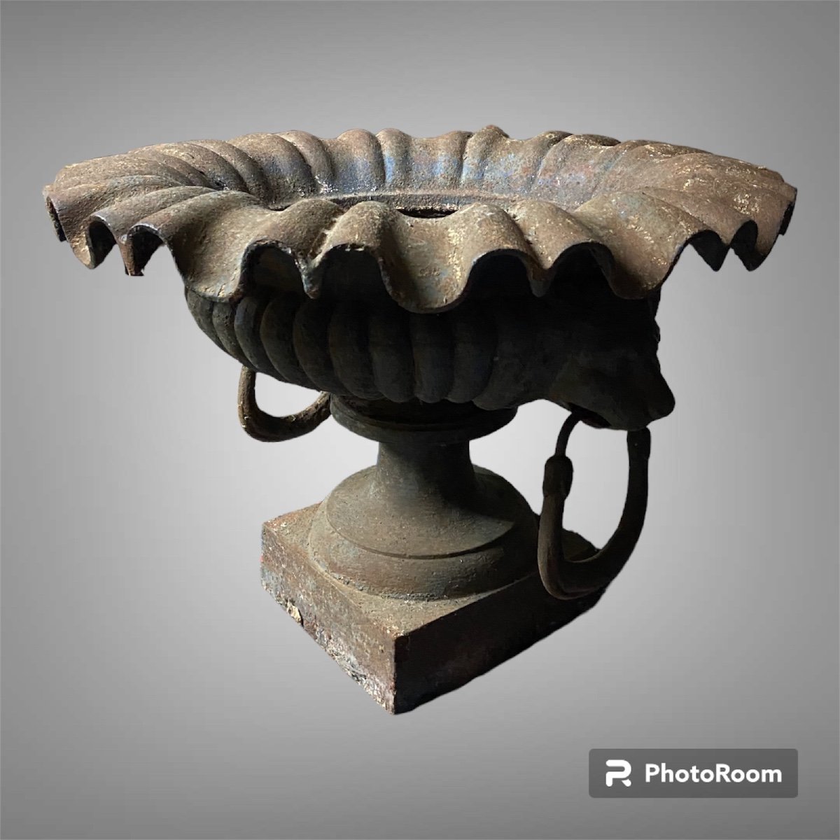 Pair Of Cast Iron Basin Vases-photo-4