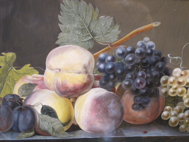 Still Life With Fruits-photo-2