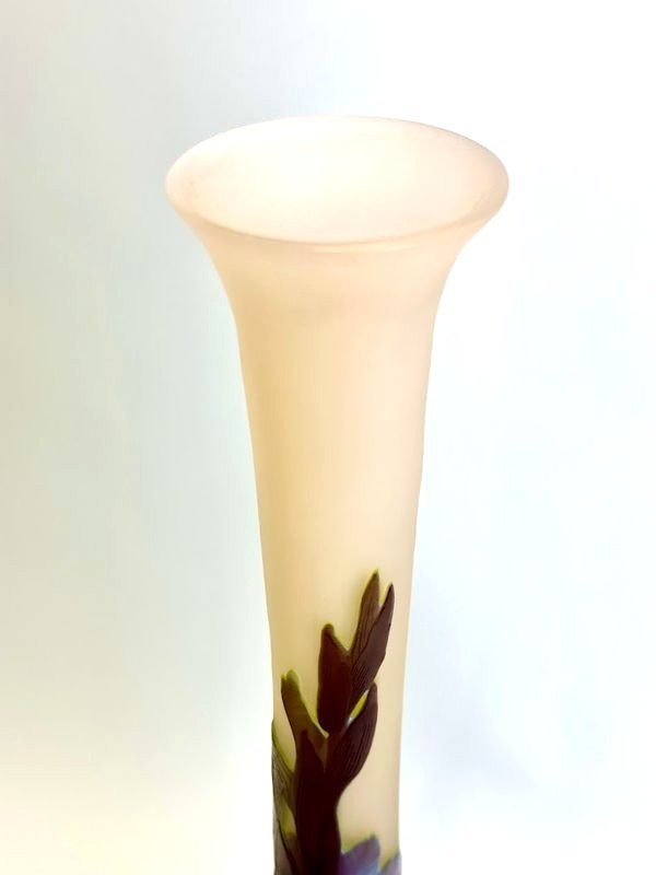 Emile Gallé Art Nouveau Vase "gladiolus"-photo-1