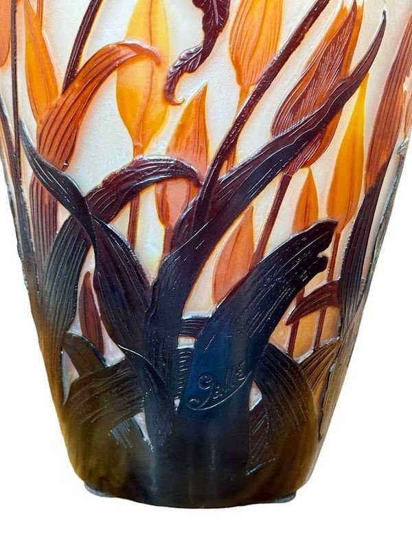 Emile Gallé Important Vase Art Nouveau "tulipes"-photo-2