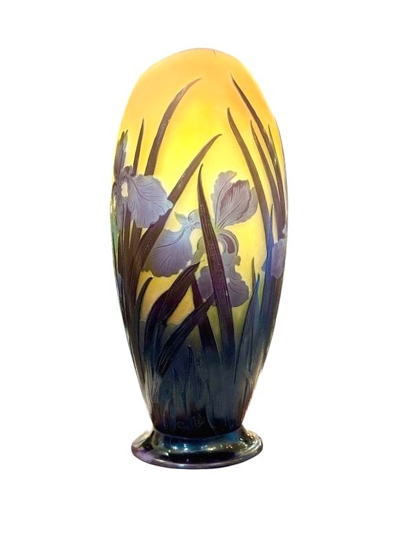 Emile Gallé Vase Art Nouveau "Aux Iris"-photo-4