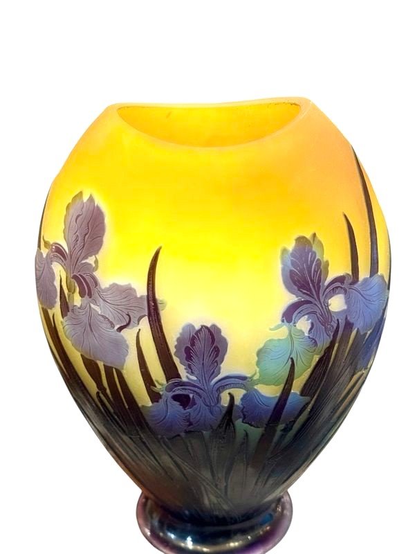 Emile Gallé Vase Art Nouveau "Aux Iris"-photo-1