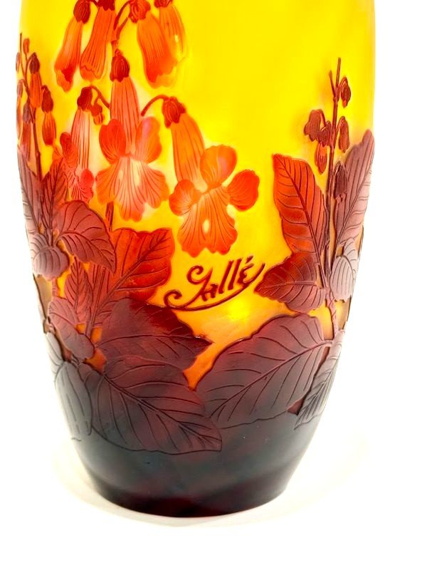 Emile Gallé Vase Art Nouveau "digitales Rouges"-photo-1