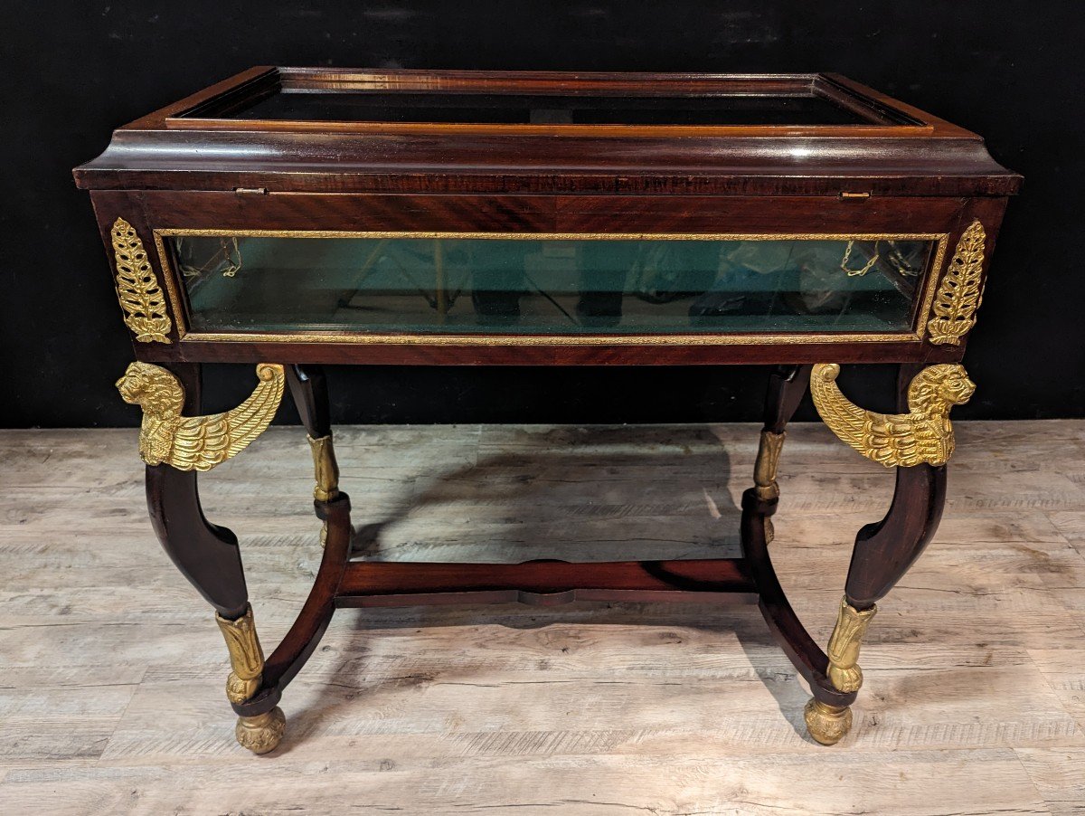 Napoleon III Mahogany Showcase Table-photo-1