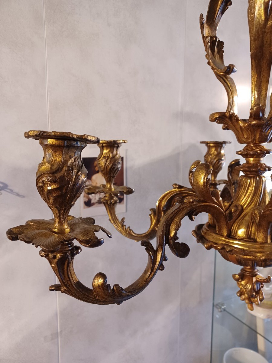 Rocaille Chandelier, Louis XV Style, Napoleon III, 19th Century, Bronze With 6 Lights-photo-2