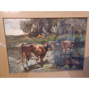 Guigné Eugène Alexis , Aquarelle " Vaches à l'Abreuvoir"