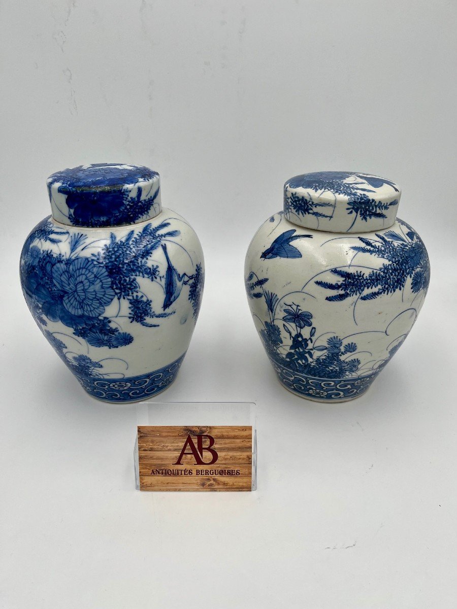 Paire De Vases à Gingembre, D’origine Chinoise, Datant Du XIXe Siècle-photo-2