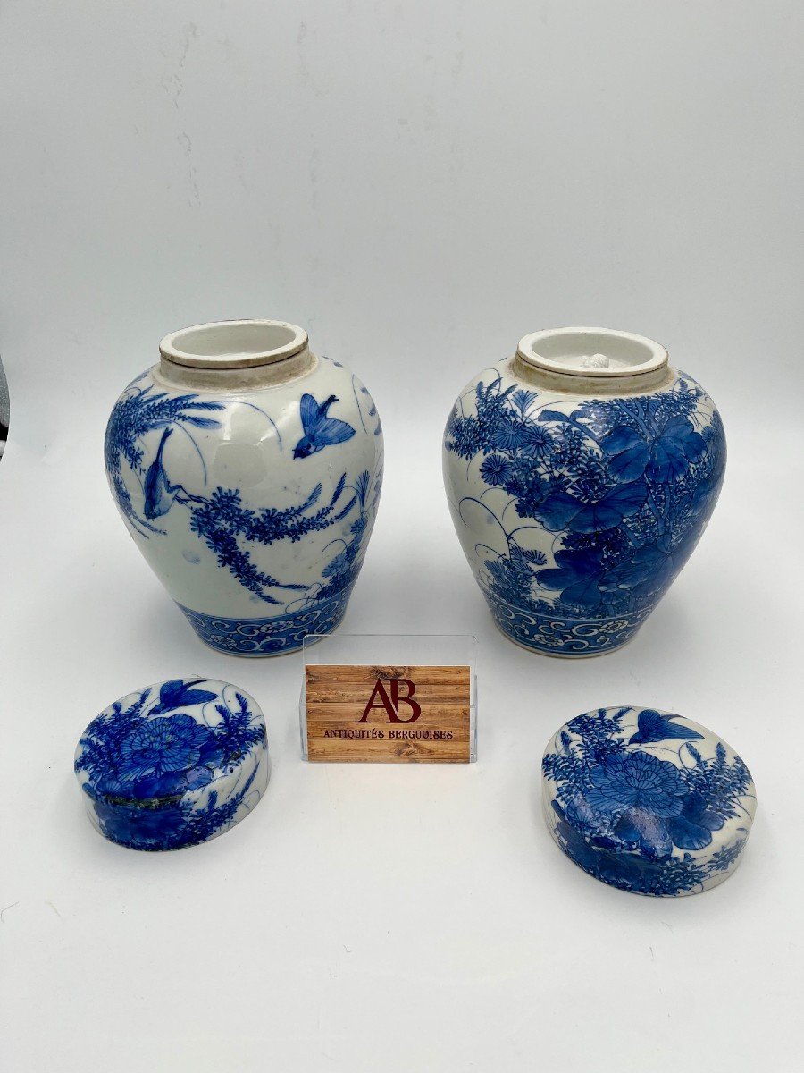 Pair Of Ginger Vases, Chinese Origin, Dating From The 19th Century-photo-2