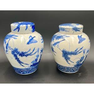 Pair Of Ginger Vases, Chinese Origin, Dating From The 19th Century