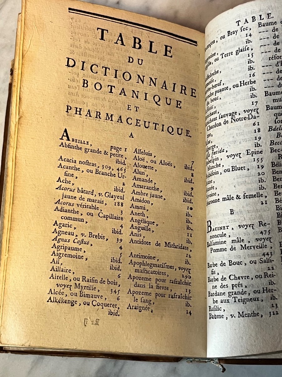 Botanical And Pharmaceutical Dictionary 1791-photo-2