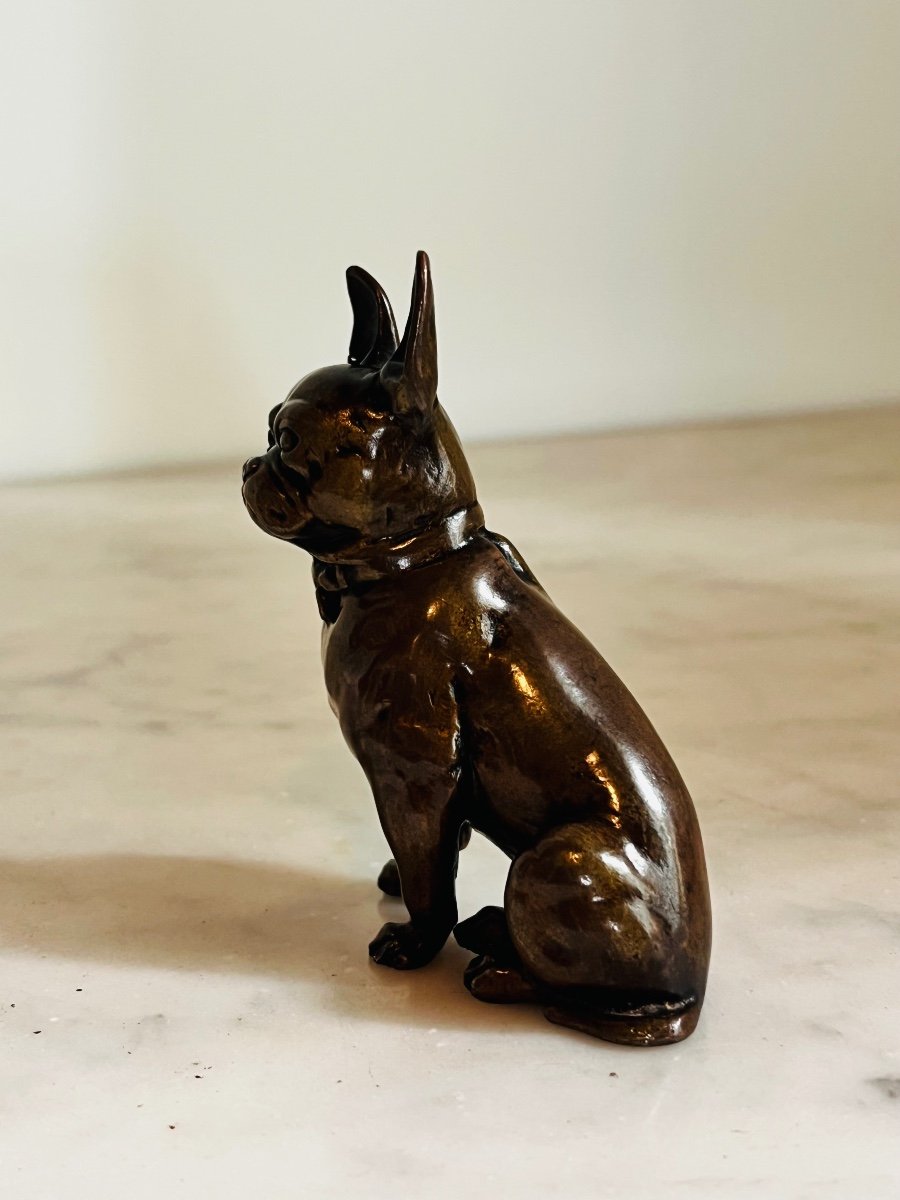 Bronze Bouledogue Français -photo-2