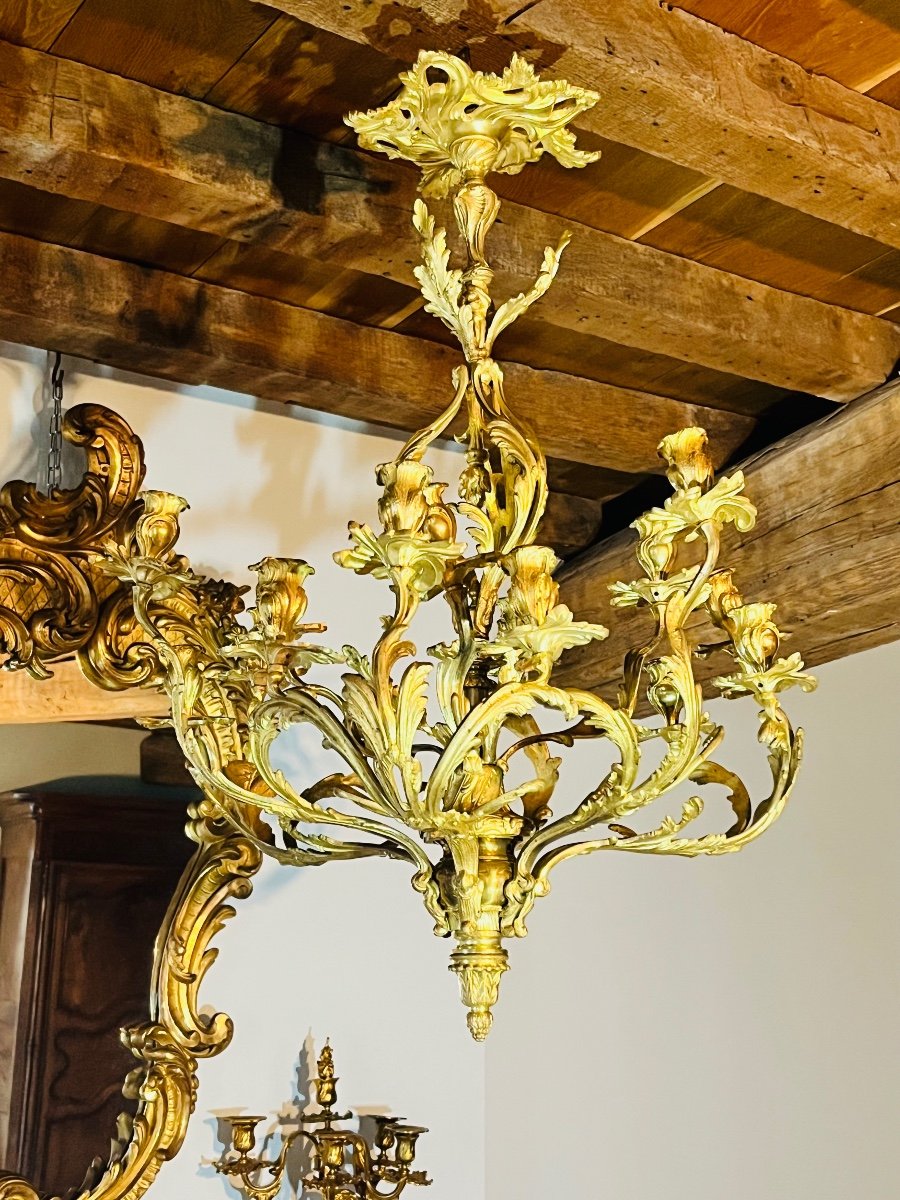 Louis XV Chandelier In Gilded Bronze -photo-2