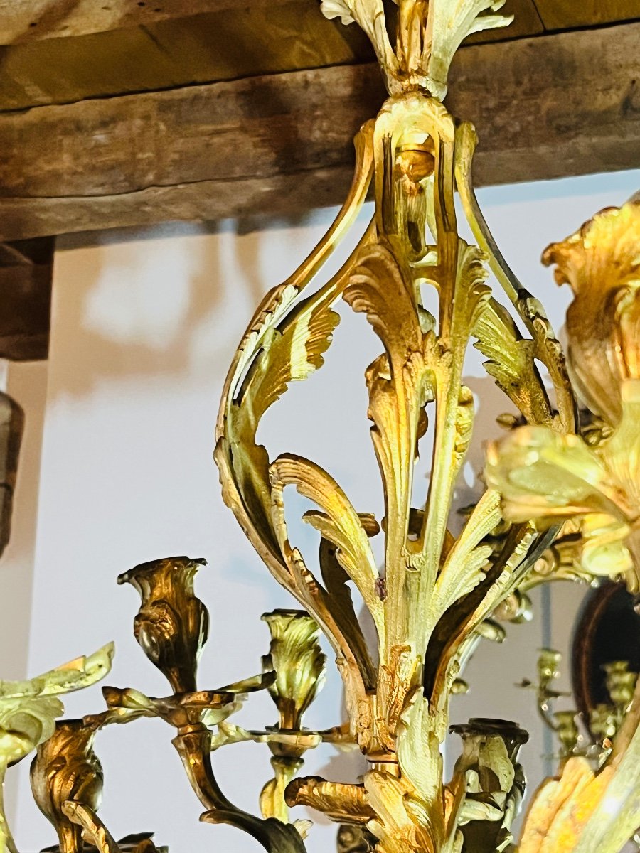 Louis XV Chandelier In Gilded Bronze -photo-3