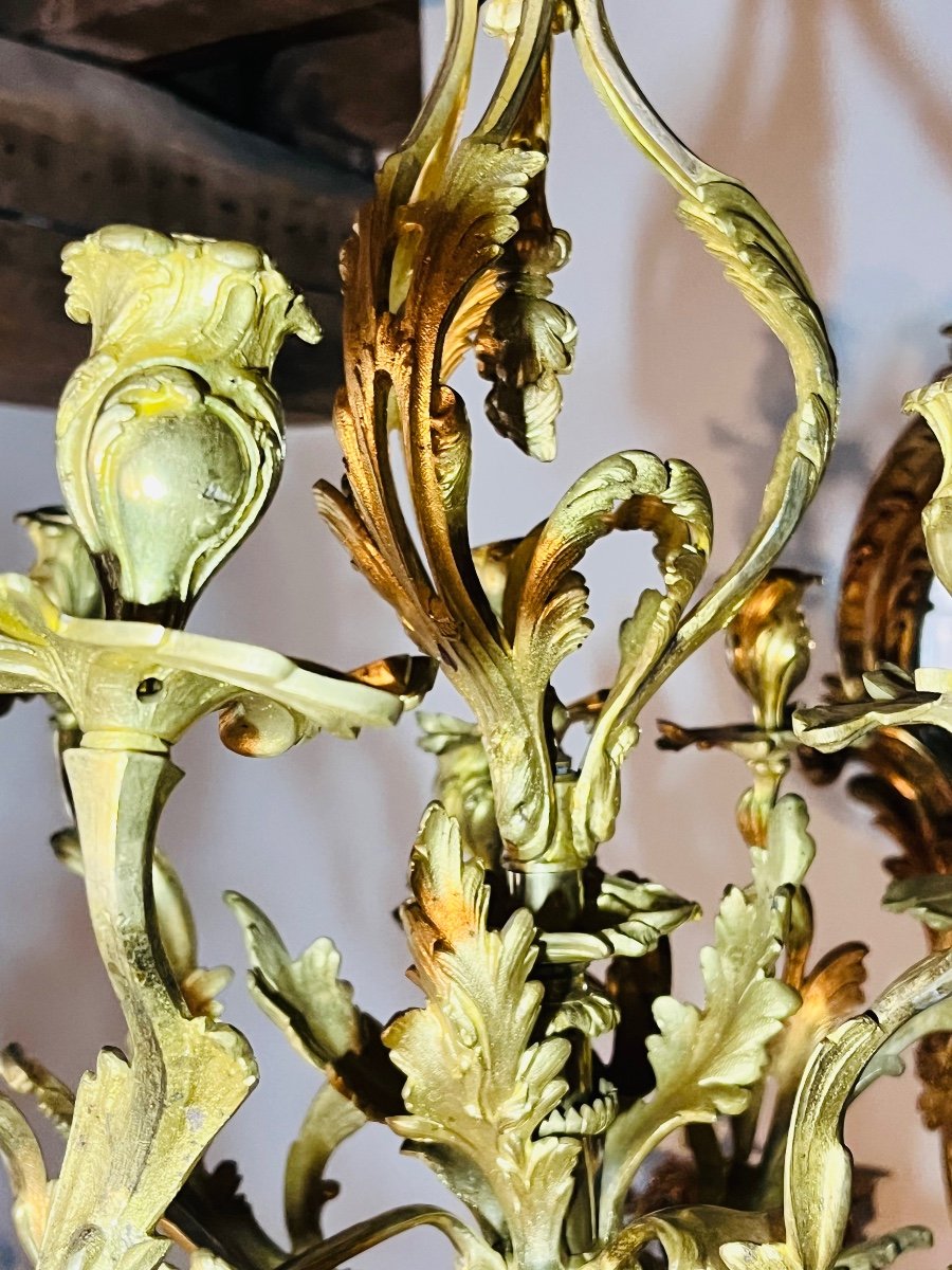 Louis XV Chandelier In Gilded Bronze -photo-1