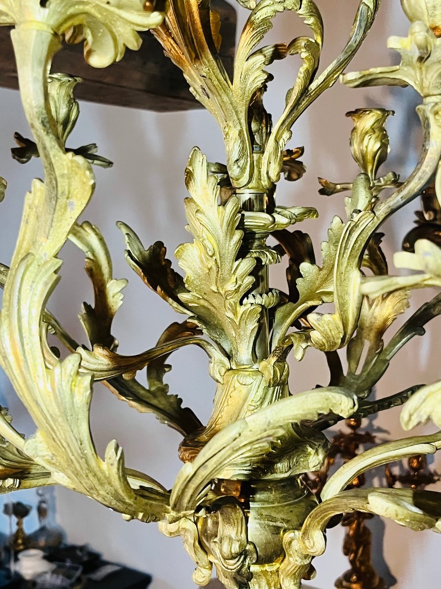 Louis XV Chandelier In Gilded Bronze -photo-2