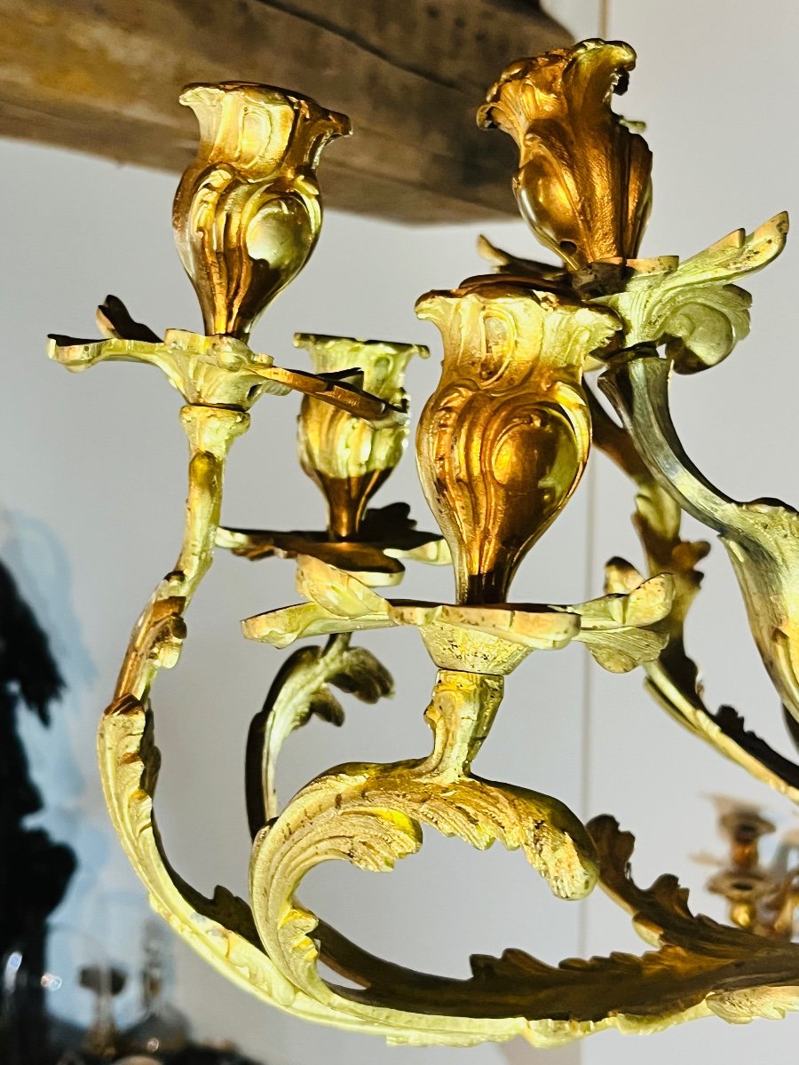 Louis XV Chandelier In Gilded Bronze -photo-3