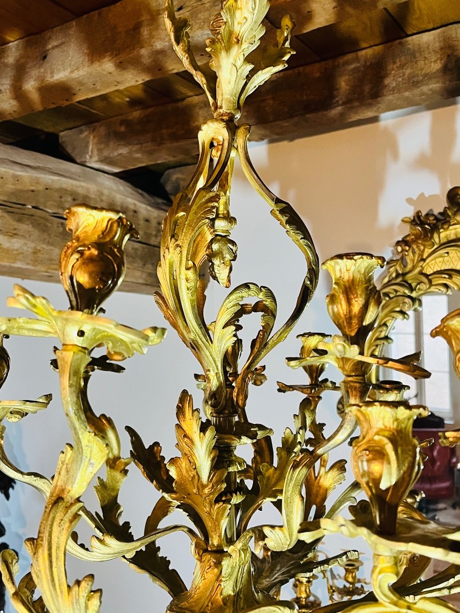 Louis XV Chandelier In Gilded Bronze -photo-6