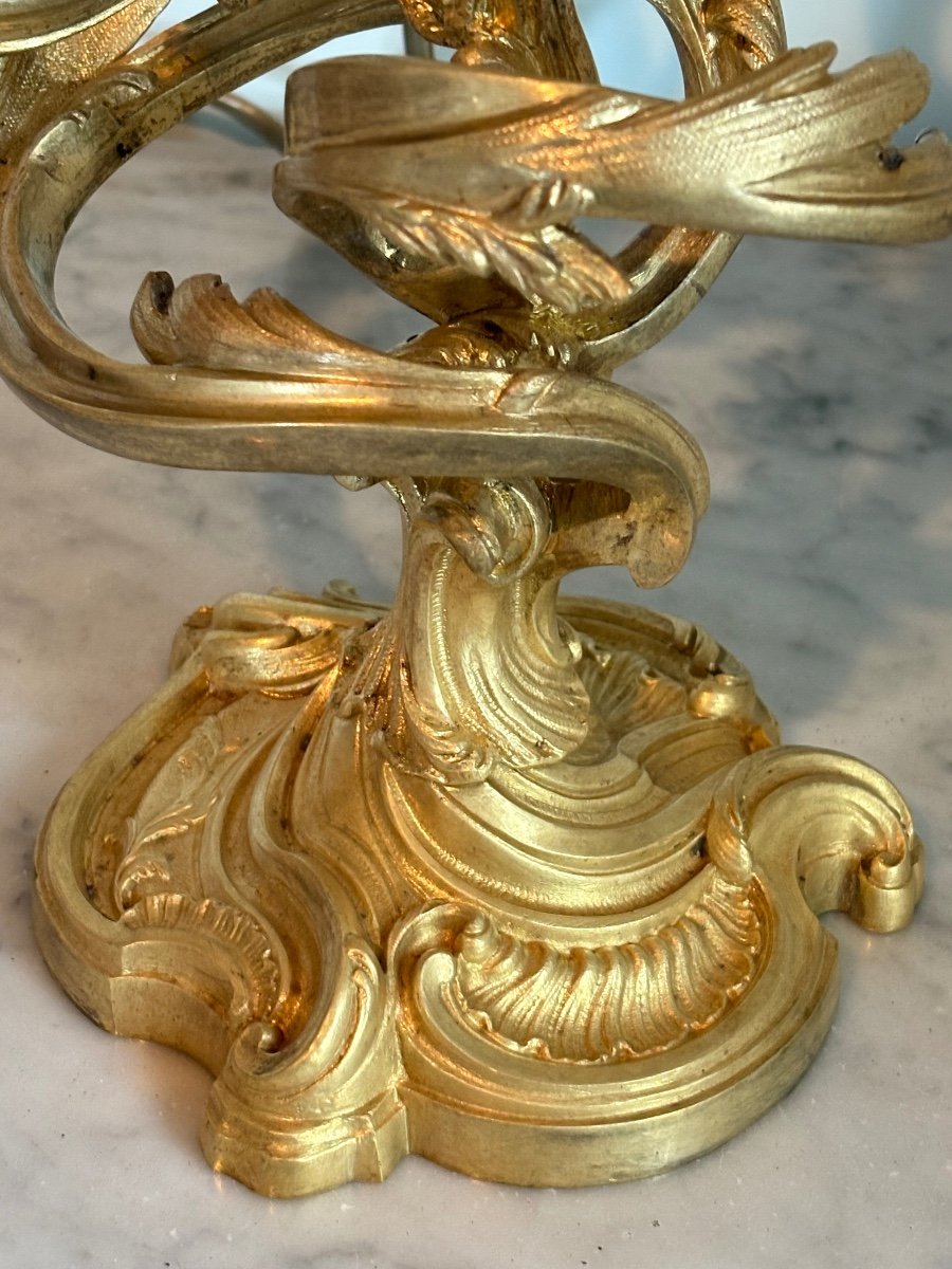 Louis XV Gilded Bronze Rocaille Candlesticks -photo-2